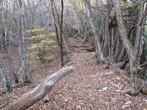 20171116hike (100)